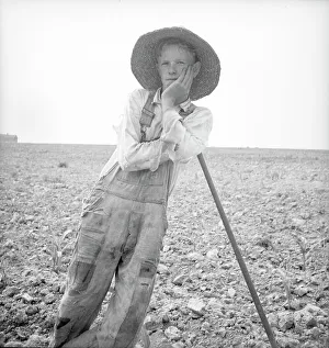 Hoeing Prints: Hoe culture in the South - poor white, North Carolina, 1936. Creator: Dorothea Lange