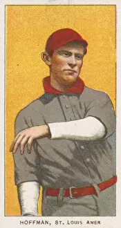 Danny Gallery: Hoffman, St. Louis, American League, from the White Border series (T206) for the Americ