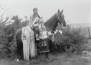 Plaits Prints: Holiday trappings, c1910. Creator: Edward Sheriff Curtis