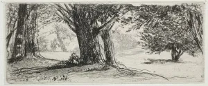 1818 1910 Prints: The Holly Field. Creator: Francis Seymour Haden (British, 1818-1910)