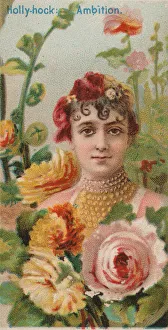 Duke W Sons Co Prints: Hollyhock: Ambition, from the series Floral Beauties and Language of Flowers (N75