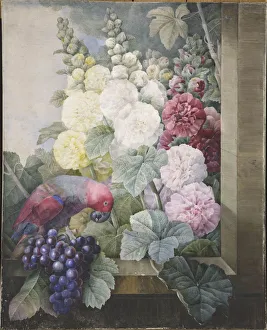 Hollyhocks, grapes and a parrot, 1836. Creator: Redoute, Pierre-Joseph (1759-1840)