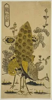 Plumage Gallery: Hollyhocks and Peacocks (Aoi ni kujaku), early 1730s. Creator: Nishimura Shigenobu