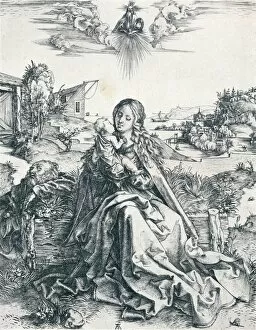 Virgin Mother Collection: The Holy Family with the Dragonfly, 1495 (1906). Artist: Albrecht Durer