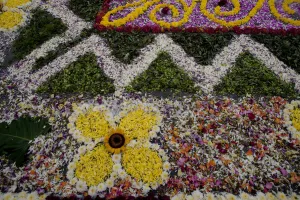 Holy Week Surco Flower Carpet, Lima, Peru, 2015. Creator: Luis Rosendo