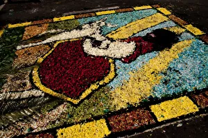 Holy Week Surco Flower Carpet, Lima, Peru, 2015. Creator: Luis Rosendo