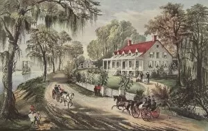 Spanish Moss Gallery: A Home On The Mississippi, pub. 1871, Currier & Ives (Colour Lithograph)