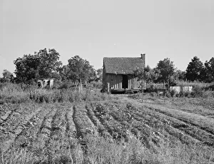 Mississippi United States Of America Prints: Home of Mississippi tenant farmer, 1937. Creator: Dorothea Lange