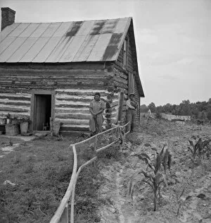 Yard Gallery: Home of tenant, Hillside Farm, Person County, North Carolina, 1939. Creator: Dorothea Lange