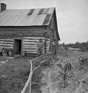 Yard Gallery: Home of tenant, Hillside Farm, Person County, North Carolina, 1939. Creator: Dorothea Lange