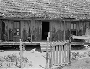 Homestead Prints: Home of white tenant farmer family, Newport, Oklahoma, 1937. Creator: Dorothea Lange