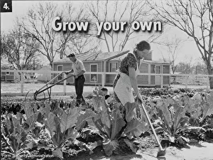 Hoeing Prints: Homegrown food is homegrown wealth, 1936. Creator: Dorothea Lange
