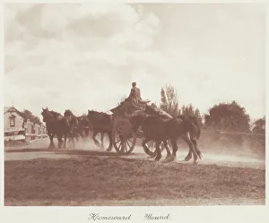 Dust Prints: Homeward bound. From the album: Camera Pictures of New Zealand