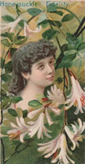 Faithful Prints: Honeysuckle: Fidelity, from the series Floral Beauties and Language of Flowers (N75