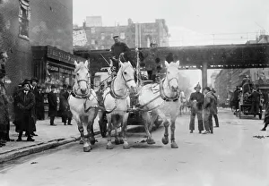 Fire Brigade Prints: Hook and ladder #7, between c1910 and c1915. Creator: Bain News Service