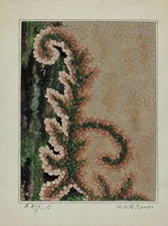Barnes Ruth M Prints: Hooked Rug, c. 1936. Creator: Ruth M. Barnes