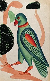 Kalighat Prints: A hoopoe. Creator: Unknown