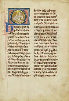 Bestiary Prints: A Hoopoe; De Natura Avium; De Pastoribus et Ovibus; Bestiarium