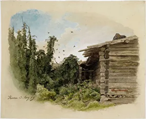 Gustaf Werner Holmberg Prints: Hop garden, 1859. Creator: Werner Holmberg