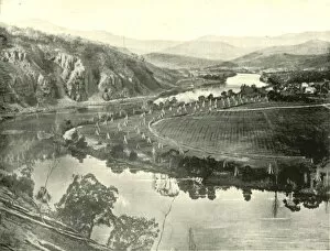 Tasmania Gallery: Hop Gardens in Tasmania, 1901. Creator: Unknown