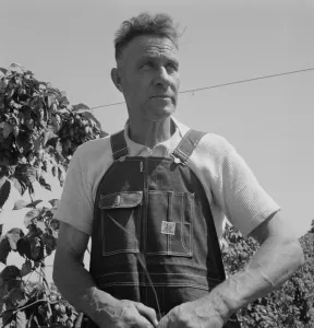 Hops Prints: Hop picker, once Nebraska farm owner, Polk County, Oregon, 1939. Creator: Dorothea Lange