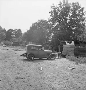 Accommodation Gallery: [Hop pickers camp?], 1939. Creator: Dorothea Lange