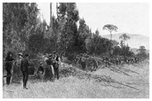 Hops Prints: Hop Picking near Bairnsdale, Australia, 1886