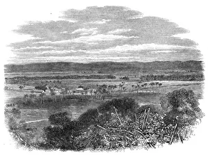 Plantation Prints: The Hordley Estate, Morant Bay, Jamaica, 1865. Creator: Unknown