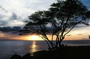 Reflected Collection: On the Horizon. Creator: Robert Manno
