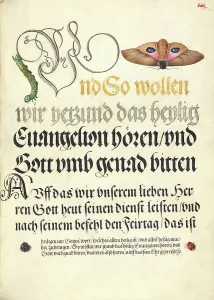 Moth Prints: Horntail Caterpillar, Eyed Hawk-Moth