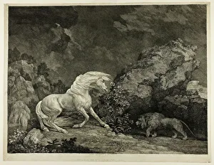Dunald Mill Hole Prints: A Horse Affrighted by a Lion, September 25, 1777. Creator: George Stubbs