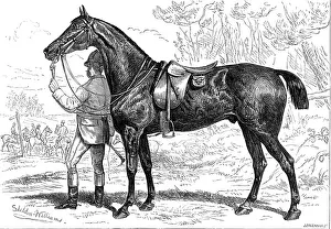 Horse Riding Prints: The Horse Show at the Agricultural Hall