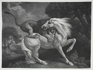 A Horse Attacked by a Lion, 1788. Creator: George Stubbs (British, 1724-1806)