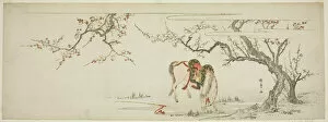 Horse beneath a Flowering Plum Tree, Japan, c. 1797/99. Creator: Kitagawa Utamaro