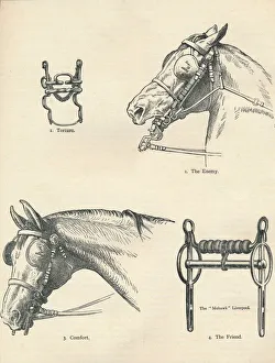Bridle Prints: Horse bits, good and bad, c1909 (c1910)