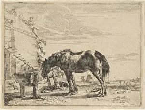 Dirck Stoop Prints: A Horse Bound to a Feeding Trough, 1651. Creator: Dirck Stoop