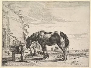 Horse Bound to a Feeding Trough. Creator: Dirck Stoop