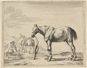Dirck Stoop Prints: A Horse Bound to a Post, 1651. Creator: Dirck Stoop