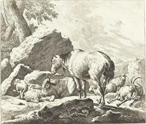 Buffalo Prints: A Horse, Buffalo, Sheep, and Goat in an Italian Landscape. Creator: Johann Elias Ridinger