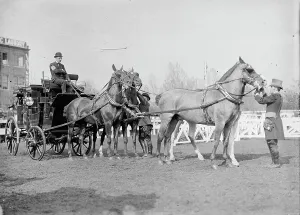 Equestrian Equipment Prints: Horse Show - Busch, Adolphus, Iii, of St