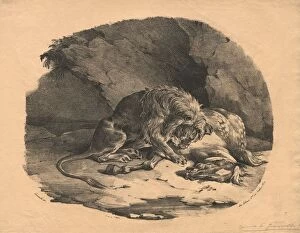 Lithograph On Chine Collé Gallery: Horse Devoured by a Lion, 1823. Creator: Theodore Gericault (French, 1791-1824); Gihaut