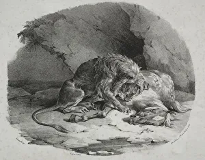 Horse Devoured by a Lion, 1823. Creator: Theodore Gericault (French, 1791-1824)