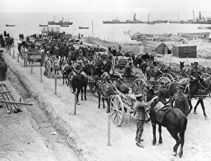 Dardanelles Gallery: Horse drawn transportation, Allied operations in the Dardanelles, Turkey, 1915-1916