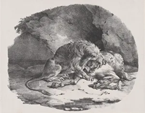 Gericault Theodore Prints: A Horse Being Eaten by a Lion, 1823. Creator: Theodore Gericault