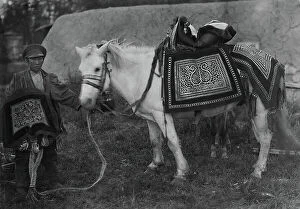 Ceremonial Dress Collection: Horse in festive harness and rider in ceremonial attire, 1890. Creator: Unknown
