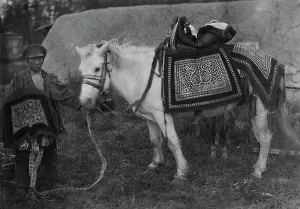 Festive Prints: Horse in festive harness and rider in ceremonial attire, 1890. Creator: Unknown