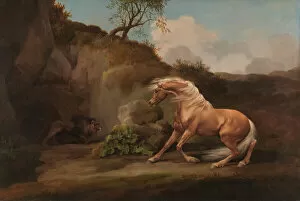 Horse Frightened by a Lion, between 1762 and 1768. Creator: George Stubbs