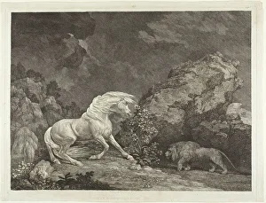 Dunald Mill Hole Prints: A Horse Frightened by a Lion, 1777. Creator: George Stubbs