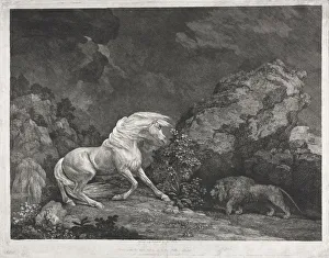 A Horse Frightened by a Lion, 1777. Creator: George Stubbs (British, 1724-1806)