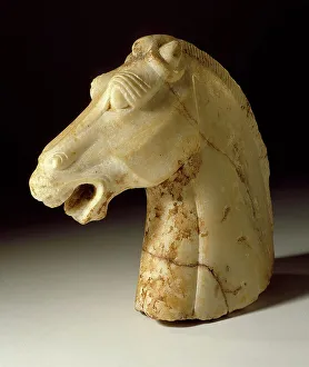 Tang Dynasty Prints: Horse Head, between 618 and 906. Creator: Unknown